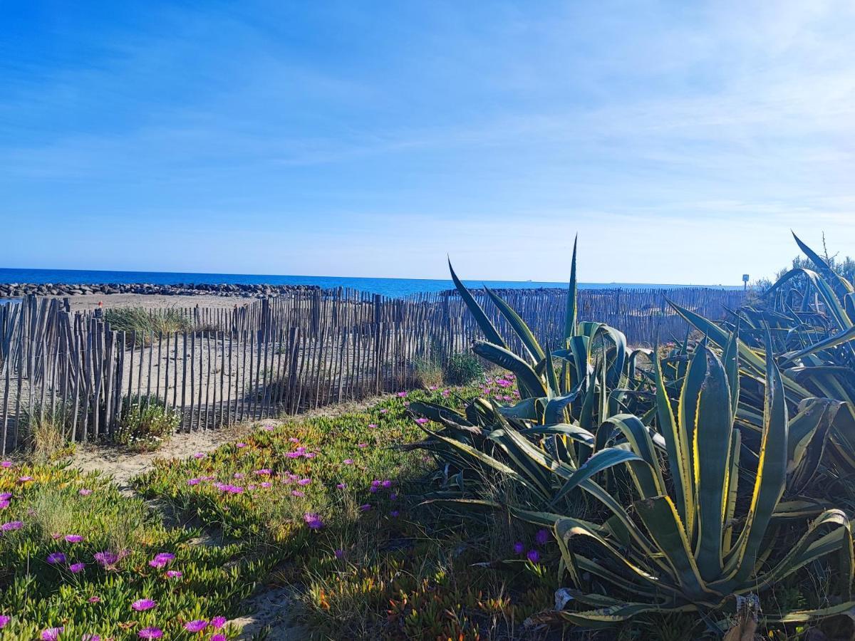 La Perle Bleue, 100 M De La Plage, Parking, Wifi Frontignan Luaran gambar